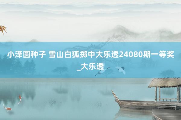 小泽圆种子 雪山白狐掷中大乐透24080期一等奖_大乐透