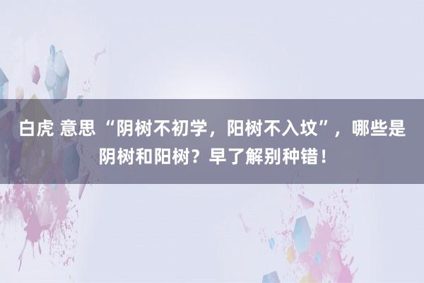 白虎 意思 “阴树不初学，阳树不入坟”，哪些是阴树和阳树？早了解别种错！