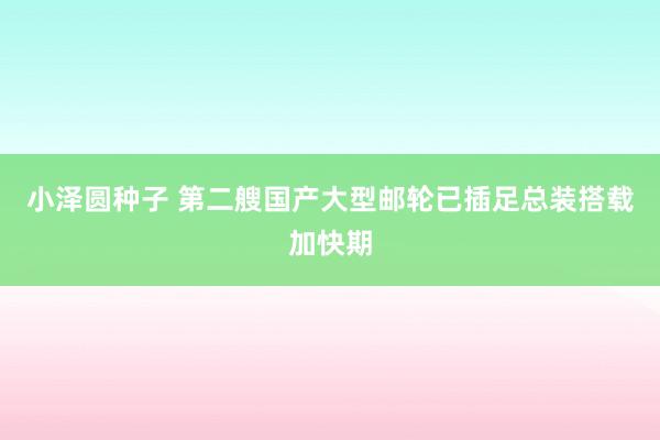 小泽圆种子 第二艘国产大型邮轮已插足总装搭载加快期