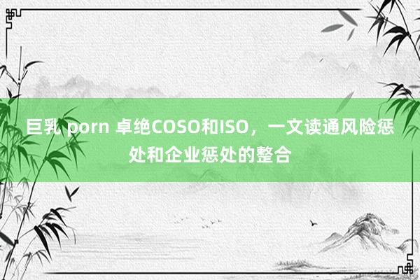 巨乳 porn 卓绝COSO和ISO，一文读通风险惩处和企业惩处的整合