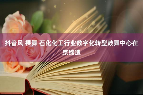 抖音风 裸舞 石化化工行业数字化转型鼓舞中心在京缔造