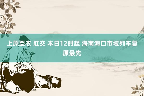 上原亞衣 肛交 本日12时起 海南海口市域列车复原最先