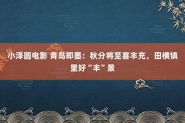 小泽圆电影 青岛即墨：秋分将至喜丰充，田横镇里好“丰”景