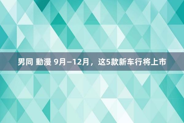 男同 動漫 9月—12月，这5款新车行将上市