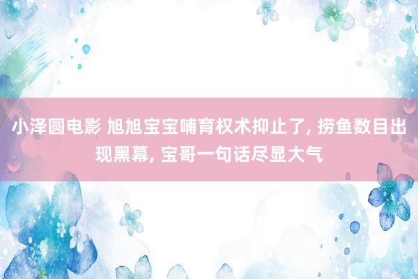 小泽圆电影 旭旭宝宝哺育权术抑止了, 捞鱼数目出现黑幕, 宝哥一句话尽显大气