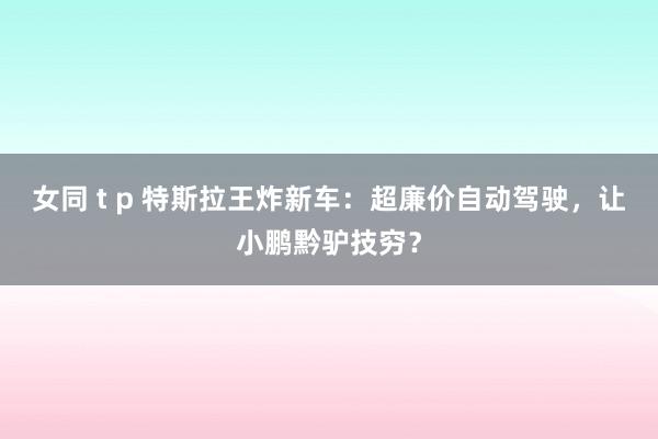 女同 t p 特斯拉王炸新车：超廉价自动驾驶，让小鹏黔驴技穷？