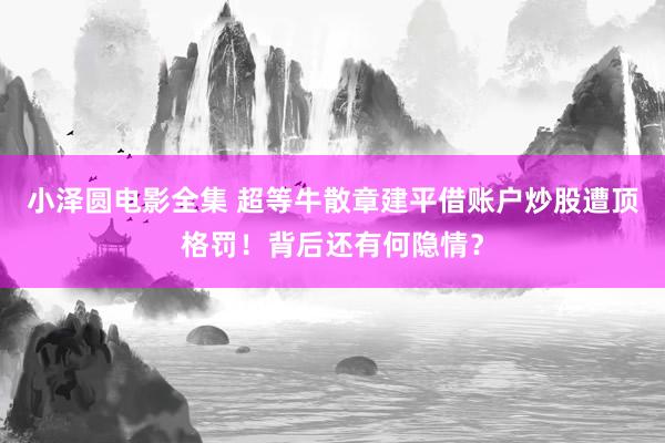 小泽圆电影全集 超等牛散章建平借账户炒股遭顶格罚！背后还有何隐情？