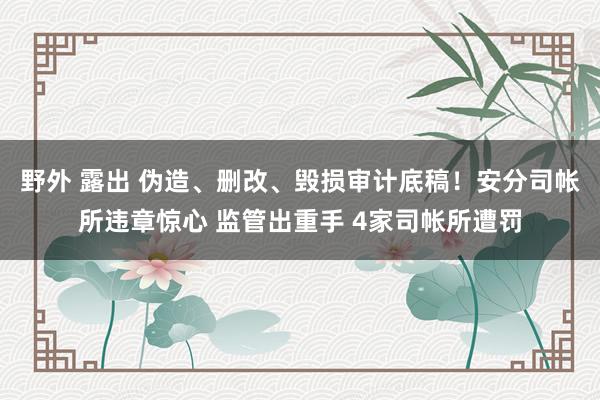 野外 露出 伪造、删改、毁损审计底稿！安分司帐所违章惊心 监管出重手 4家司帐所遭罚