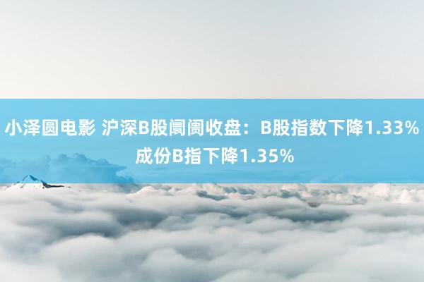 小泽圆电影 沪深B股阛阓收盘：B股指数下降1.33% 成份B指下降1.35%