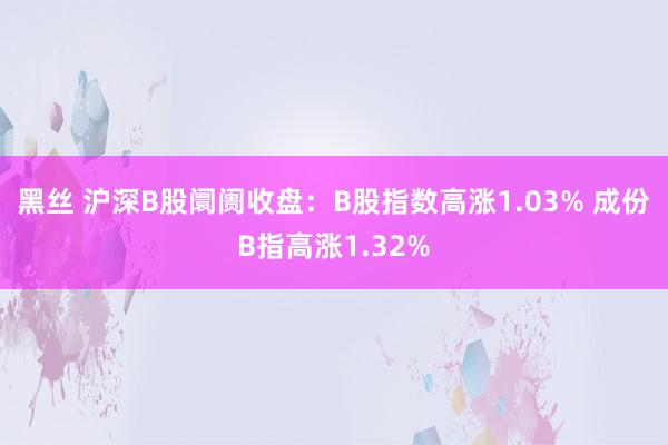 黑丝 沪深B股阛阓收盘：B股指数高涨1.03% 成份B指高涨1.32%