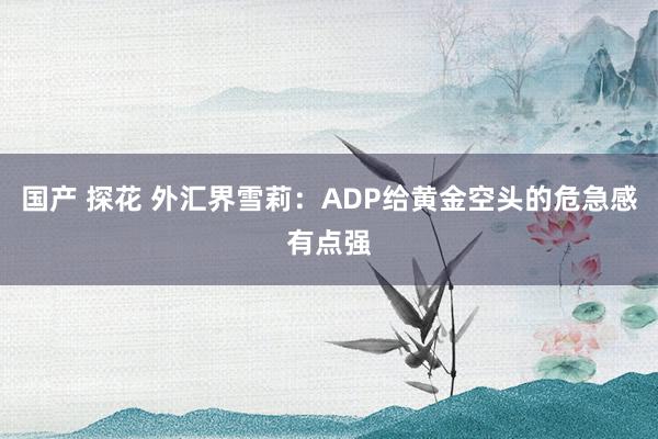 国产 探花 外汇界雪莉：ADP给黄金空头的危急感有点强