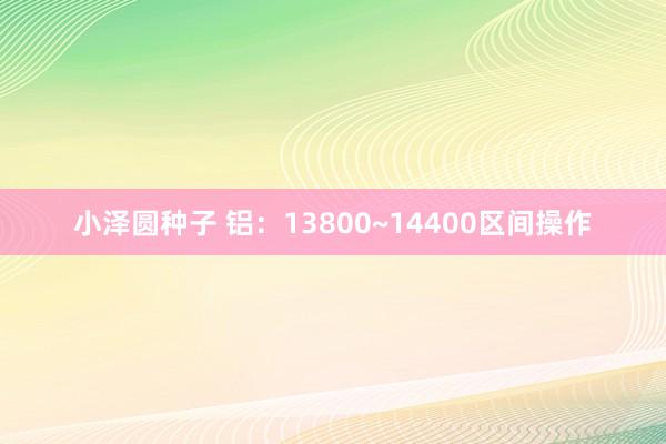 小泽圆种子 铝：13800~14400区间操作