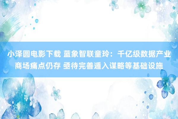 小泽圆电影下载 蓝象智联童玲：千亿级数据产业商场痛点仍存 亟待完善遁入谋略等基础设施