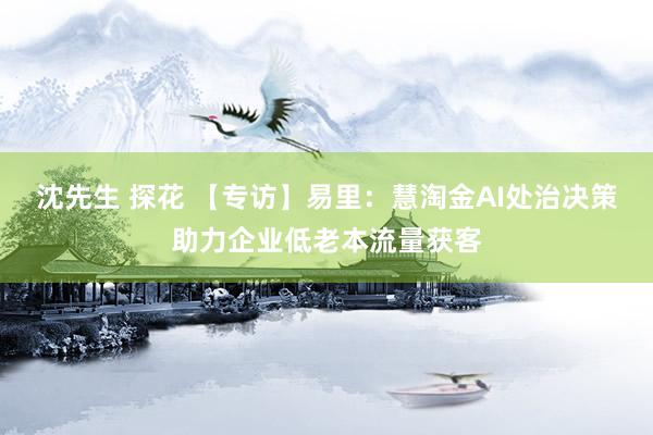 沈先生 探花 【专访】易里：慧淘金AI处治决策助力企业低老本流量获客