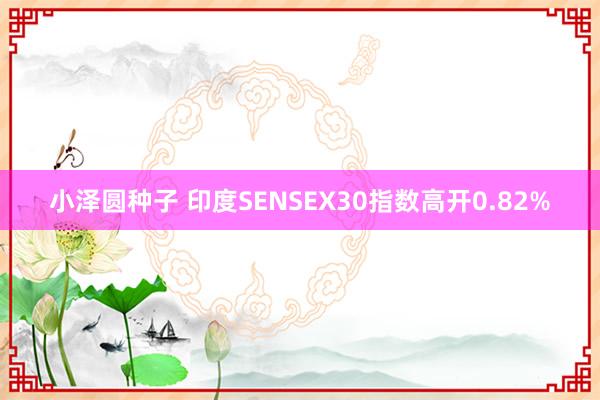 小泽圆种子 印度SENSEX30指数高开0.82%