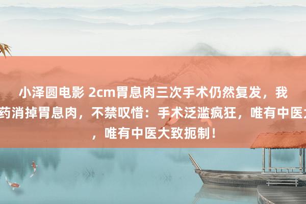 小泽圆电影 2cm胃息肉三次手术仍然复发，我用一副中药消掉胃息肉，不禁叹惜：手术泛滥疯狂，唯有中医大致扼制！