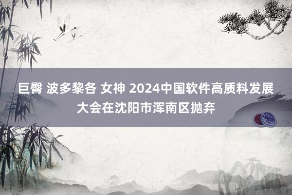 巨臀 波多黎各 女神 2024中国软件高质料发展大会在沈阳市浑南区抛弃