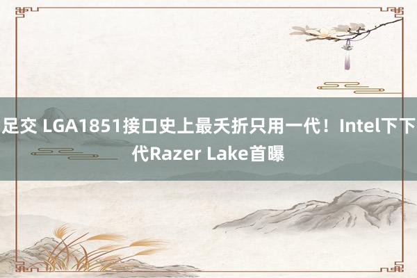 足交 LGA1851接口史上最夭折只用一代！Intel下下代Razer Lake首曝