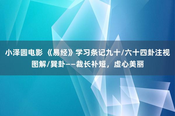 小泽圆电影 《易经》学习条记九十/六十四卦注视图解/巽卦——裁长补短，虚心美丽