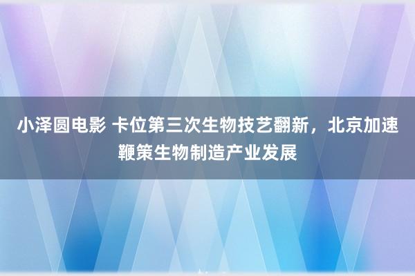 小泽圆电影 卡位第三次生物技艺翻新，北京加速鞭策生物制造产业发展