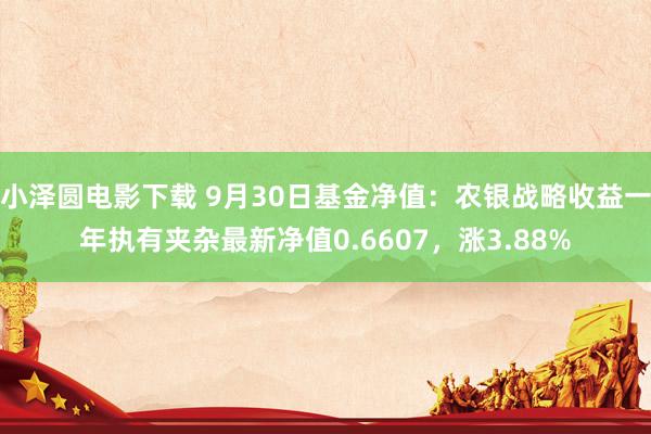 小泽圆电影下载 9月30日基金净值：农银战略收益一年执有夹杂最新净值0.6607，涨3.88%