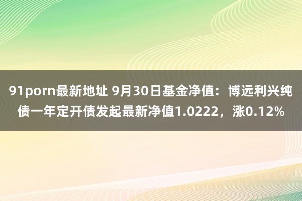 91porn最新地址 9月30日基金净值：博远利兴纯债一年定开债发起最新净值1.0222，涨0.12%