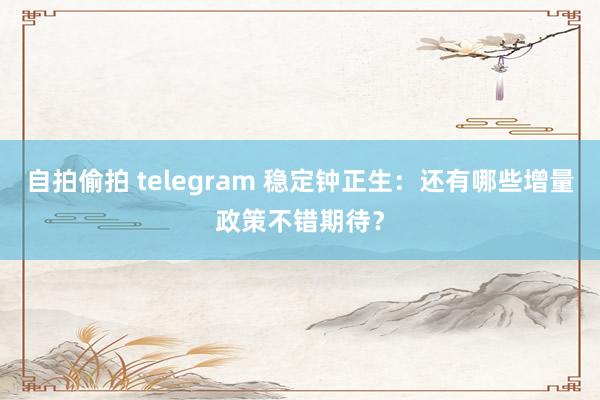 自拍偷拍 telegram 稳定钟正生：还有哪些增量政策不错期待？