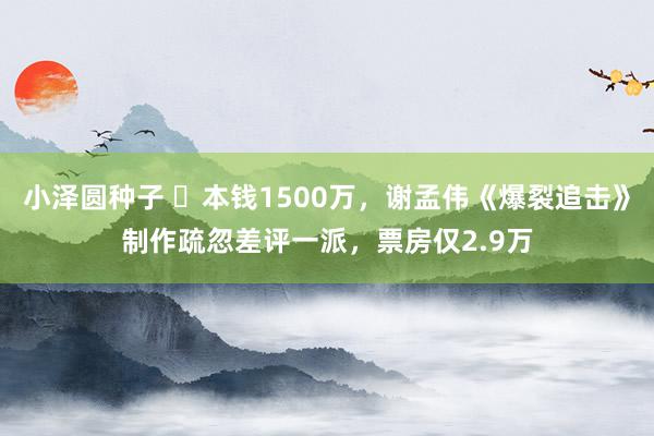 小泽圆种子 ​本钱1500万，谢孟伟《爆裂追击》制作疏忽差评一派，票房仅2.9万