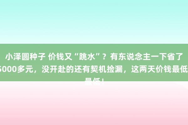 小泽圆种子 价钱又“跳水”？有东说念主一下省了5000多元，没开赴的还有契机捡漏，这两天价钱最低！