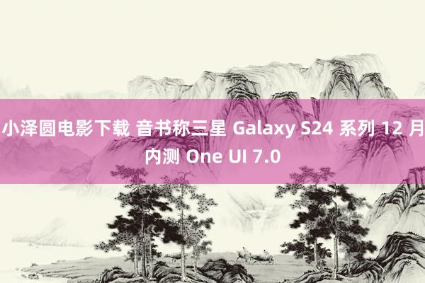 小泽圆电影下载 音书称三星 Galaxy S24 系列 12 月内测 One UI 7.0