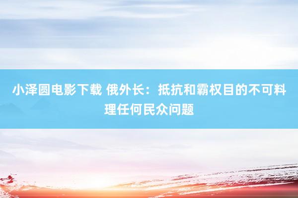 小泽圆电影下载 俄外长：抵抗和霸权目的不可料理任何民众问题