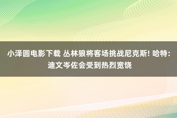 小泽圆电影下载 丛林狼将客场挑战尼克斯! 哈特: 迪文岑佐会受到热烈宽饶