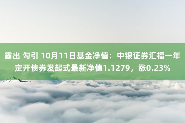 露出 勾引 10月11日基金净值：中银证券汇福一年定开债券发起式最新净值1.1279，涨0.23%