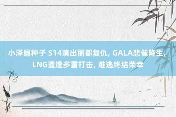 小泽圆种子 S14演出丽都复仇, GALA悲催降生, LNG遭逢多重打击, 难逃终结荣幸