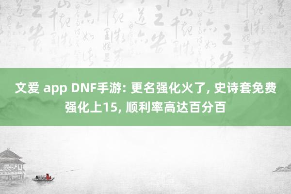 文爱 app DNF手游: 更名强化火了, 史诗套免费强化上15, 顺利率高达百分百