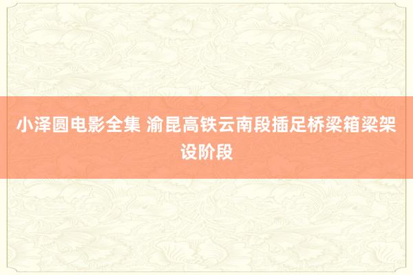 小泽圆电影全集 渝昆高铁云南段插足桥梁箱梁架设阶段