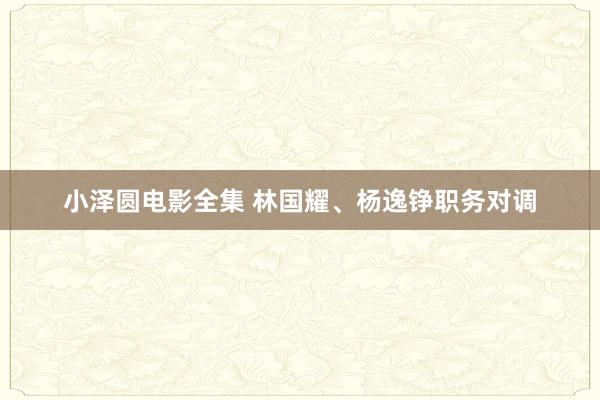 小泽圆电影全集 林国耀、杨逸铮职务对调