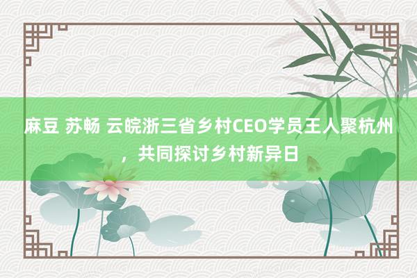 麻豆 苏畅 云皖浙三省乡村CEO学员王人聚杭州，共同探讨乡村新异日