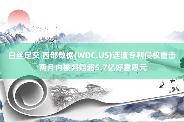 白丝足交 西部数据(WDC.US)连遭专利侵权重击 两月内被判赔超5.7亿好意思元