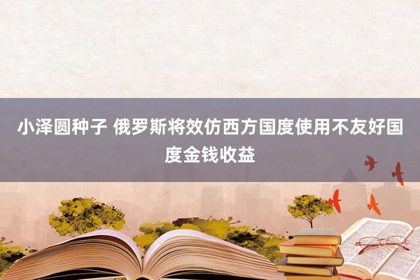 小泽圆种子 俄罗斯将效仿西方国度使用不友好国度金钱收益