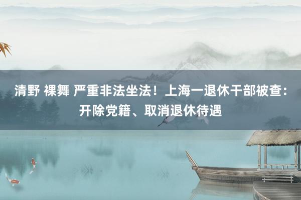 清野 裸舞 严重非法坐法！上海一退休干部被查：开除党籍、取消退休待遇