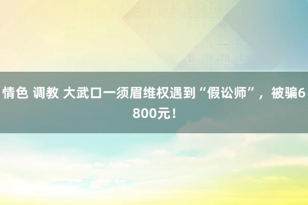 情色 调教 大武口一须眉维权遇到“假讼师”，被骗6800元！