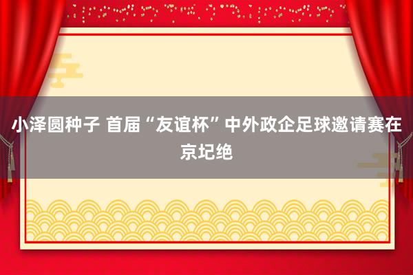 小泽圆种子 首届“友谊杯”中外政企足球邀请赛在京圮绝