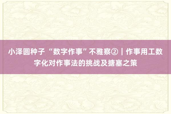 小泽圆种子 “数字作事”不雅察②｜作事用工数字化对作事法的挑战及搪塞之策