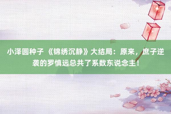 小泽圆种子 《锦绣沉静》大结局：原来，庶子逆袭的罗慎远总共了系数东说念主！