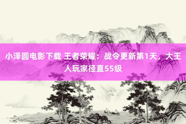 小泽圆电影下载 王者荣耀：战令更新第1天，大王人玩家径直55级