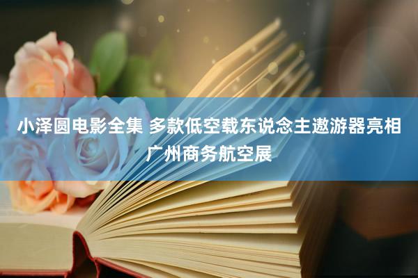 小泽圆电影全集 多款低空载东说念主遨游器亮相广州商务航空展