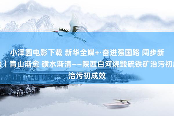 小泽圆电影下载 新华全媒+·奋进强国路 阔步新征途丨青山渐愈 磺水渐清——陕西白河烧毁硫铁矿治污初成效