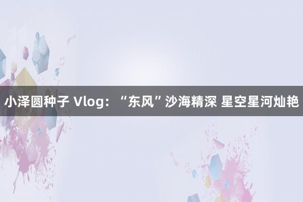 小泽圆种子 Vlog：“东风”沙海精深 星空星河灿艳