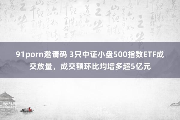 91porn邀请码 3只中证小盘500指数ETF成交放量，成交额环比均增多超5亿元